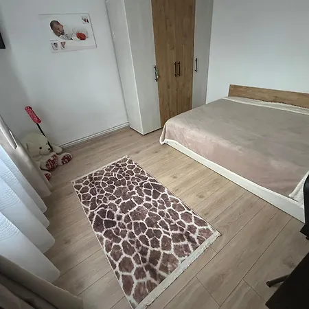 Casa Trandafir Feriehus Topraisar